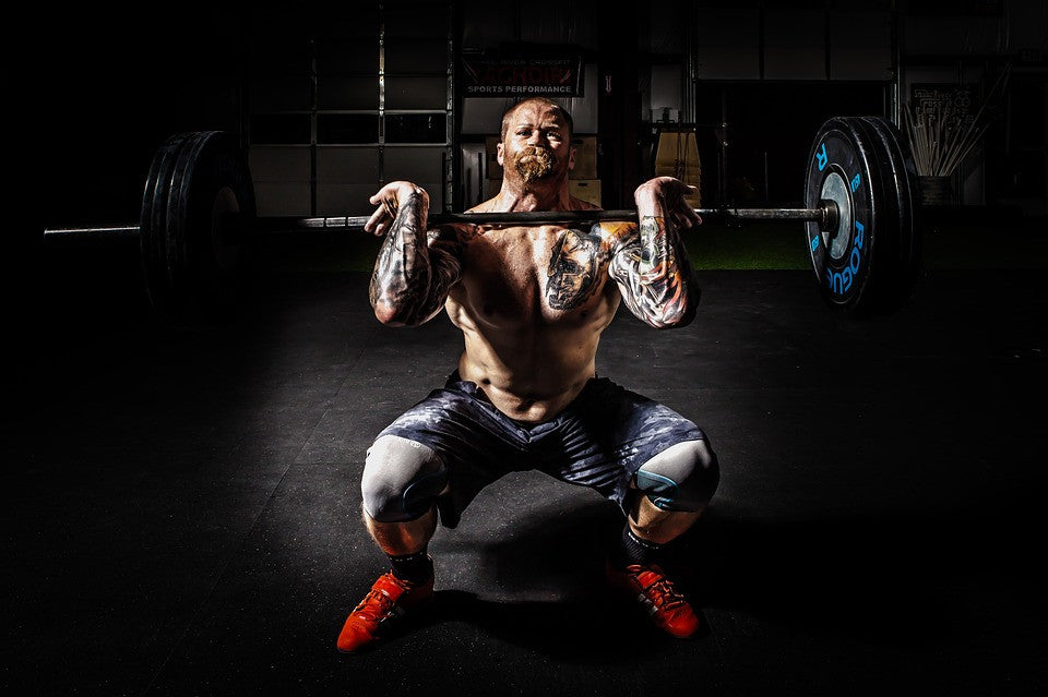 Effective Body building Supplements
