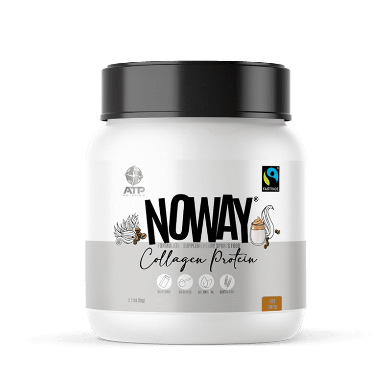 NOWAY PROTEIN - ATP